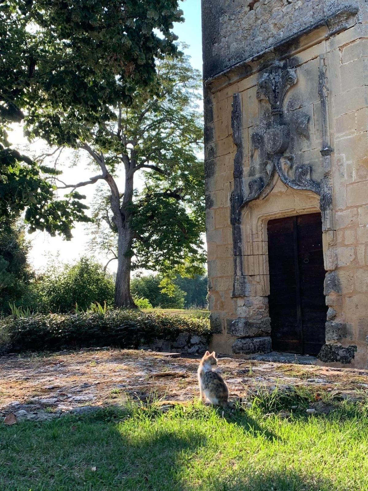 Chateau De Monsac Exterior photo